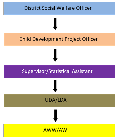 Organisation Structure, DSWO