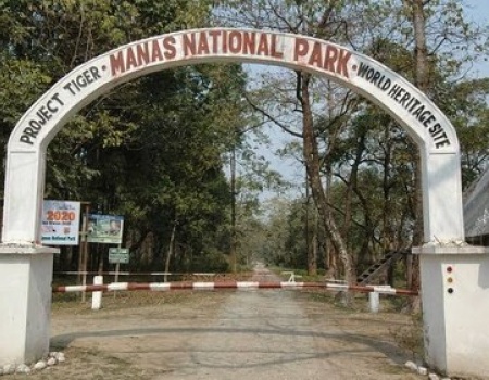Manas National Park